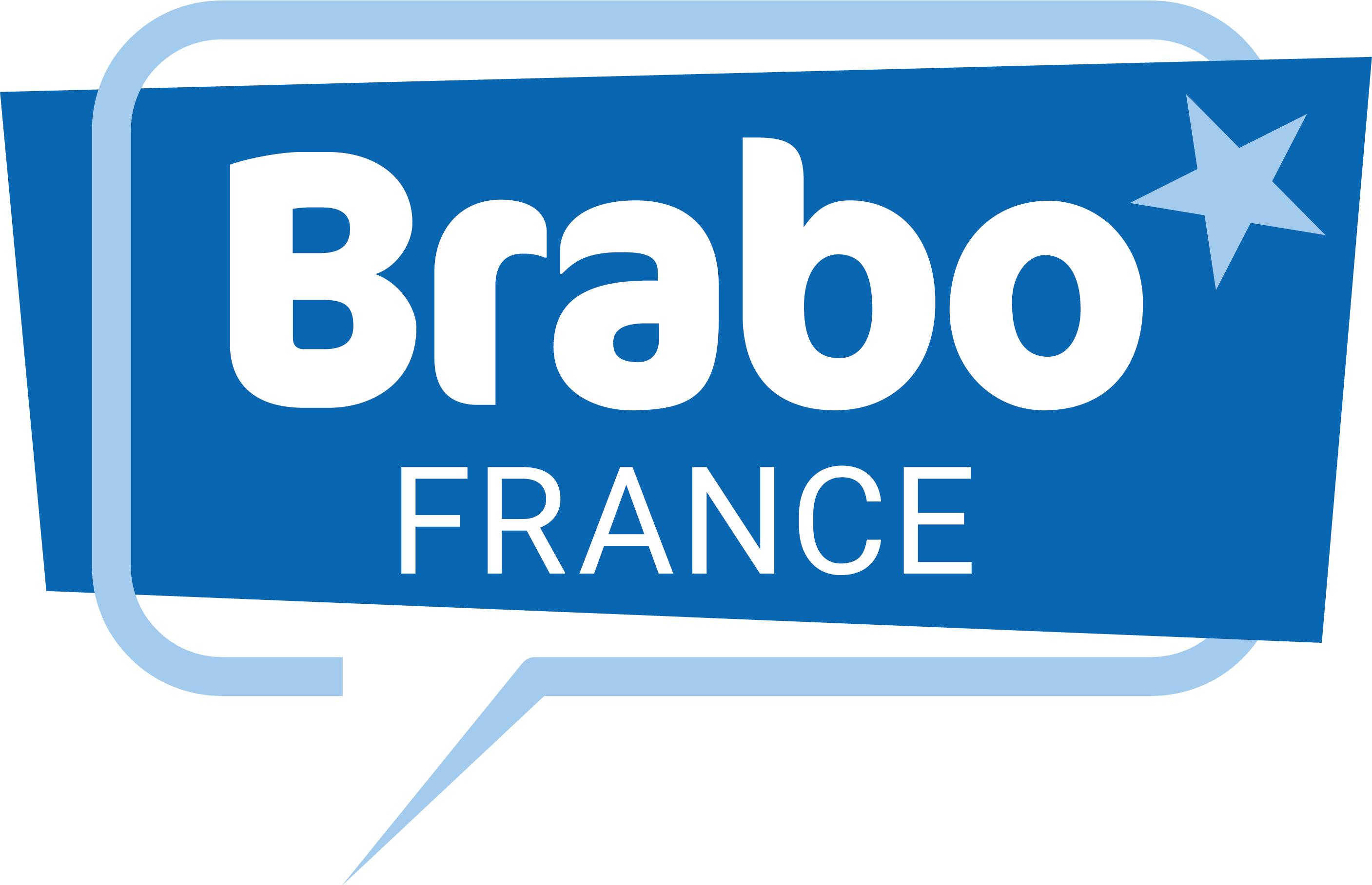 logotype Brabo France QUADRI ou RVB